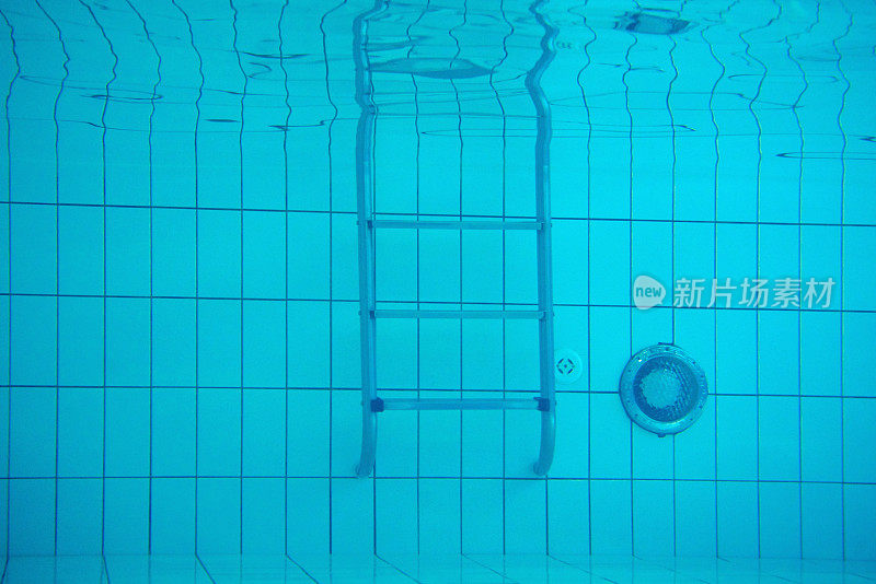 The swimming pool ladder